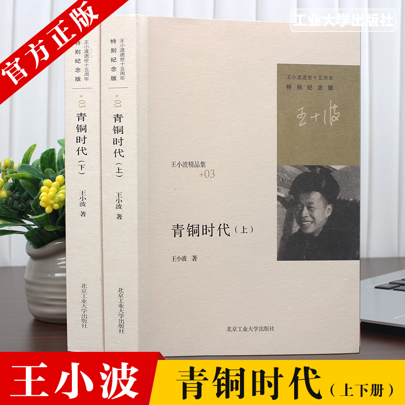 【旗艦店官方正版】王小波 青銅時代上下冊2冊 王小波逝世十周年特別紀念版 隨筆散文集 當代文學雜文集 原版小說 暢銷書籍 原版書