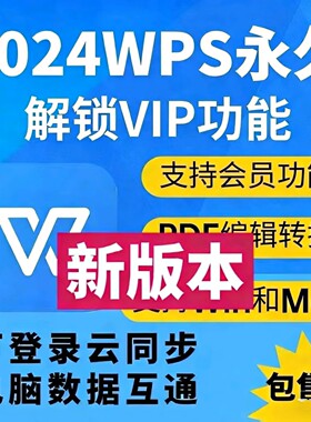 wps2025专业企业版永久激活安装序列号电脑版带vab宏PDF格式转换