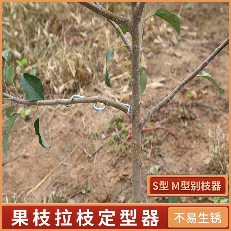 永德助果树拉枝定型器通用柑橘弯枝 别枝开角压枝器 折枝神器包邮
