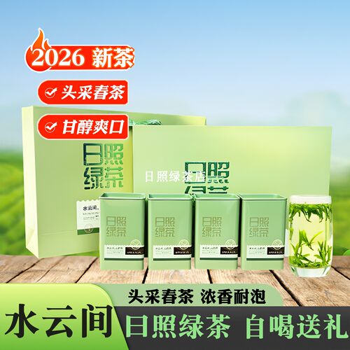 日照绿茶2026新茶叶春茶明前特级手工板栗香豆香浓山东浓香礼盒装