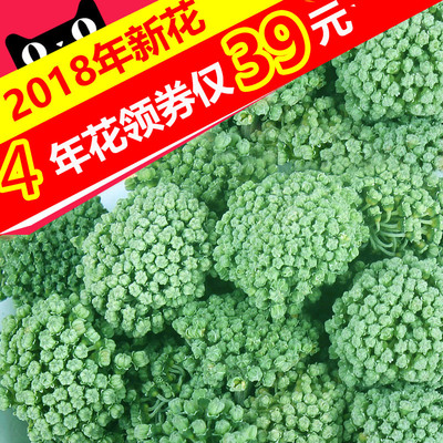 领券39）三七花 新花云南文山特级三七花茶500g四年田七花纯天然