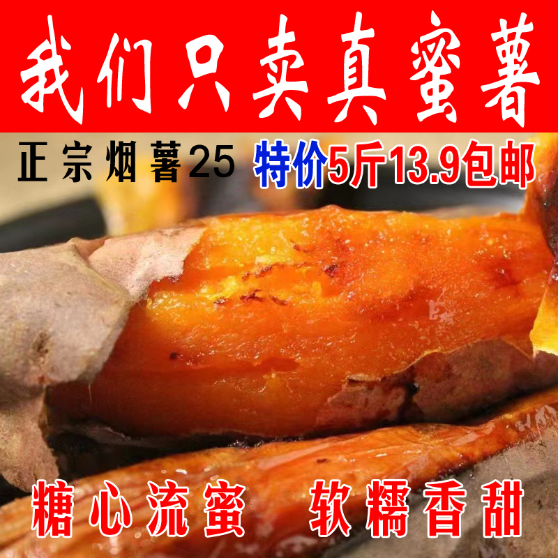 烟薯25山东烤红薯蜜薯沙地番薯