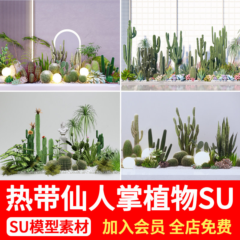 热带仙人掌沙生植物组合景观小品庭院花园多肉仙人球造景SU模型库