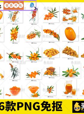沙棘浆果汁水果卡通手绘橙色免抠png免扣透明背景图片素材元素