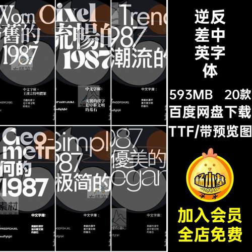 酸性中英字体TTF衬线20款反差海报PSAI标题设计逆潮流厚重无包