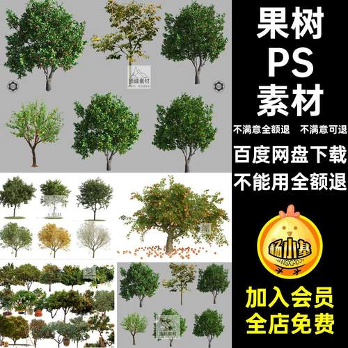 橙子园PSD素材果树果园柑橘梨分层琵琶石榴植物园荔枝柚子平果
