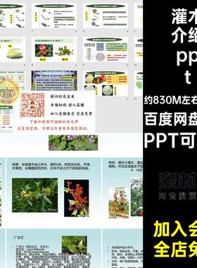 灌木介绍pptPPT可编改常见景观园林植物教学园艺花卉32款讲座绿植