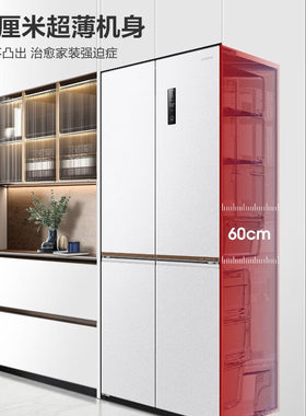 容声 BCD-503WD1FPQ一级风冷白色零嵌入十字四门电冰箱