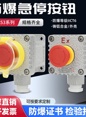 防爆控制按钮 急停自锁开关盒两档三档旋钮转换开关 IICT6铸铝箱