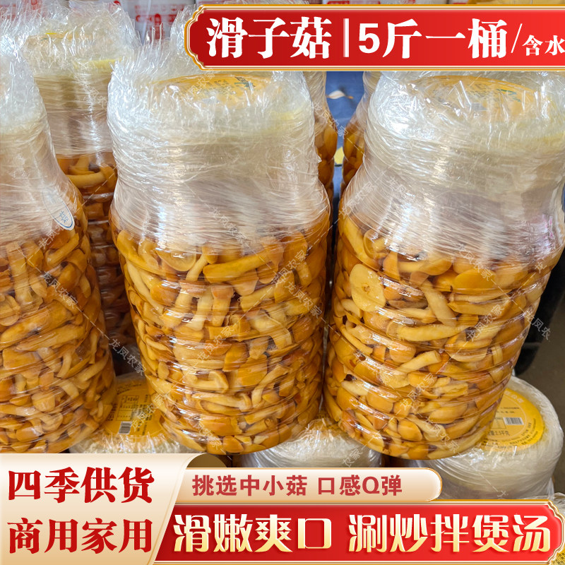 5斤含水滑子菇 滑菇新鲜口感滑子蘑 桶装商用家用酒店食材炒煲汤