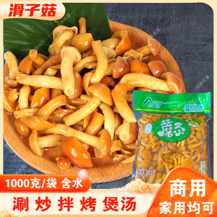 2斤滑菇 滑子菇承德特产滑子蘑非新鲜滑子菇黄蘑袋装含水滑脆爽口