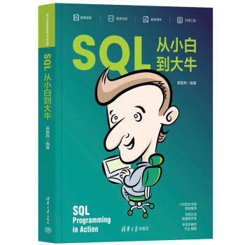 【24小时后发货】  SQL从小白到大牛 关东升 清华大学出版社 9787302626534