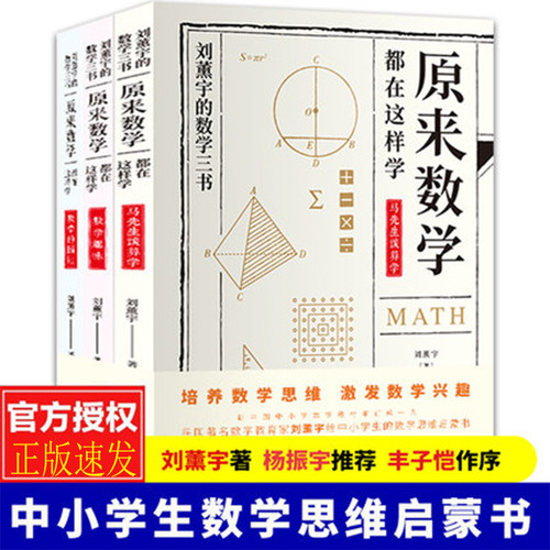 【快速发货】原来数学都在这样学初高中数学知识大3册写给儿童的数学三书给孩子的数学三书马先生谈算学刘薰宇著数学原来