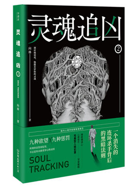 【快速发货】灵魂追凶2 作者向林著的书 中国友谊 9787505746541正版书籍图书