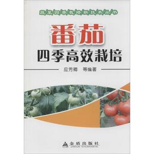 高效栽培 9787508295039 番茄四季 金盾出版 社 著 24小時左右發貨 應芳卿等