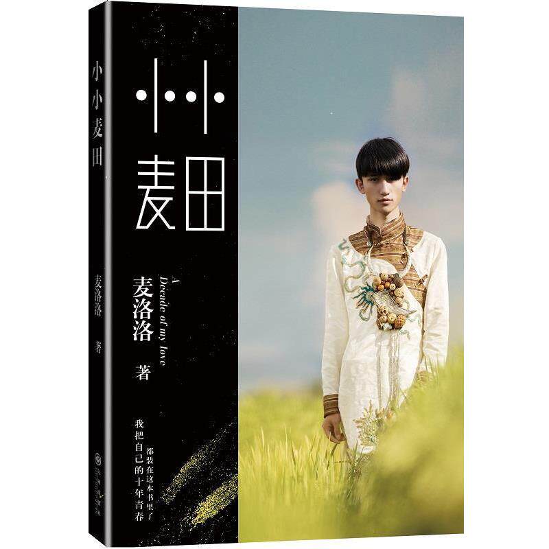 【48小时内发货】 小小麦田 麦洛洛 著 九州出版社 9787510832208