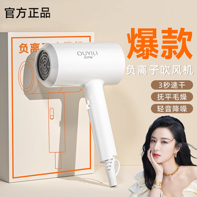 【李徍琦甄选】小冞负离子吹风机