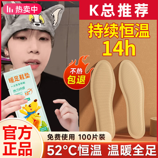垫2024新款 恒温加热鞋 免充电可行走官方旗舰店 垫男女冬季 自发热鞋