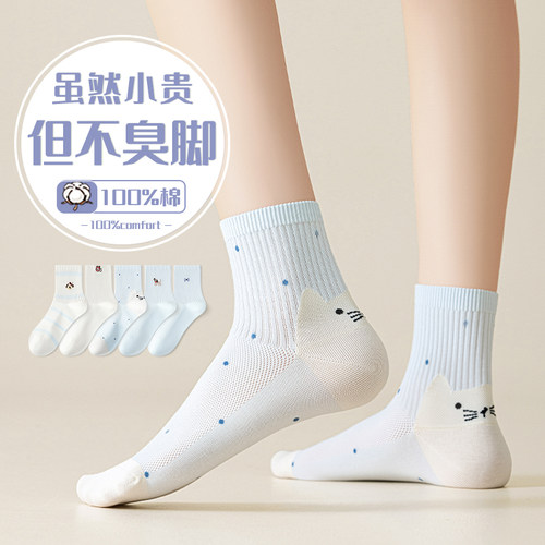 【免费试穿】臭脚包退纯棉袜
