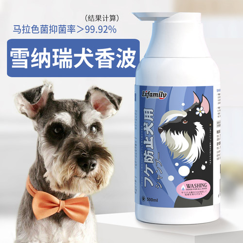检查报告马色拉菌99.9%