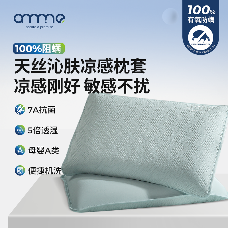 安敏诺天丝凉席枕套2025新款冰丝一对装单双人枕套枕头巾枕头套巾