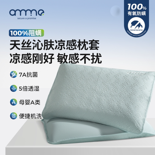 安敏诺天丝凉席防螨枕套