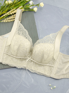 梵歌佰棠小胸模杯文胸F42565聚拢上托防下垂调整型收副乳内衣