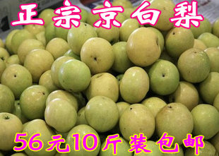 京白梨 北京门头沟京白梨 特产 软糯香甜汁水足 10斤多省包邮