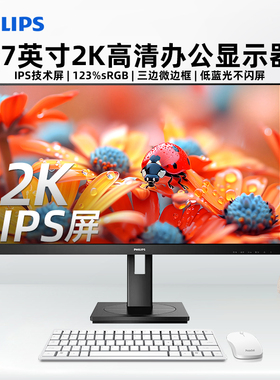 飞利浦27寸2K高清电脑显示器24作图升降旋转显示屏广色域275S9LRB