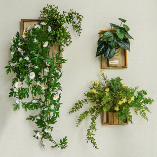 ins风仿真植物墙面装饰小雏菊挂件室内墙壁假花藤蔓电视背景遮丑
