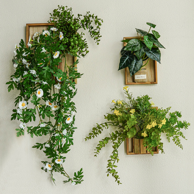 ins风仿真植物墙面装饰小雏菊