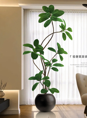 大型客厅落地摆件室内沙发电视柜旁边假植物黑金刚橡皮树仿真绿植