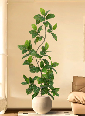 仿真绿植高端轻奢孟加拉榕室内客厅落地摆件大型盆栽假树仿生植物