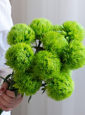 假花仿真花摆设绿石竹绿毛球室内客厅装饰轻奢高档花束拍摄道具