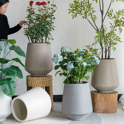 镁泥花盆轻奢高级感家用水泥陶土