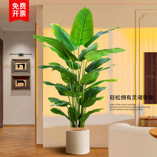 仿真绿植天堂鸟客厅落地大植物仿生树高端轻奢造景盆栽摆件装饰花