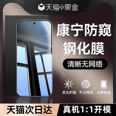 适用真我gt8全系列防窥钢化膜