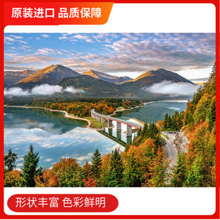 现货castorland波兰进口拼图500片慕尼黑的桥 风景