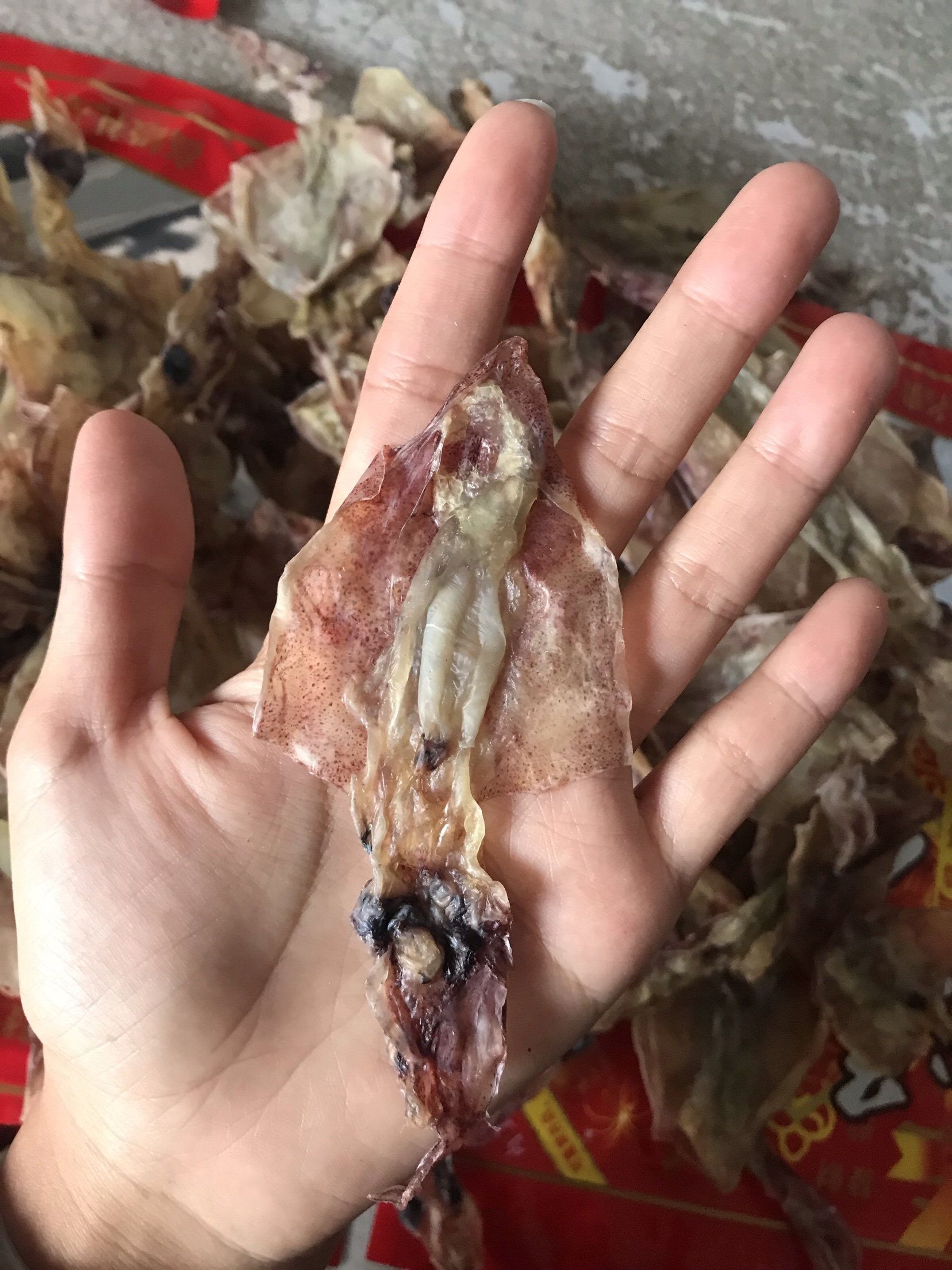 福建特产剖开鱿鱼片带卵鱿鱼母干小鱿鱼筒小鱿鱼仔小鱿鱼干包邮