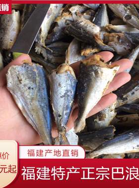 福建特产咸巴浪鱼干干货海鲜特产 海鱼巴浪鱼提鱼咸鱼干初加工鱼