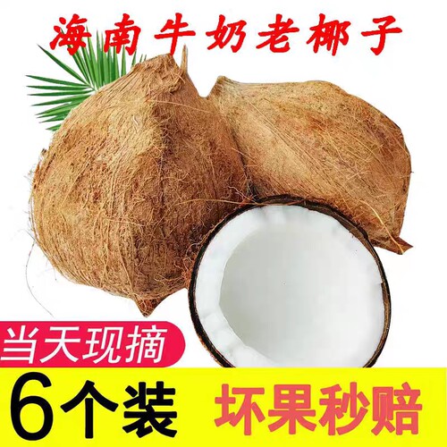 正宗海南老椰子毛椰新鲜时令水果椰青6个装特产椰皇现摘整箱包邮