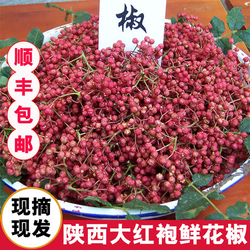 陕西大红袍现摘新鲜花椒顺丰包邮