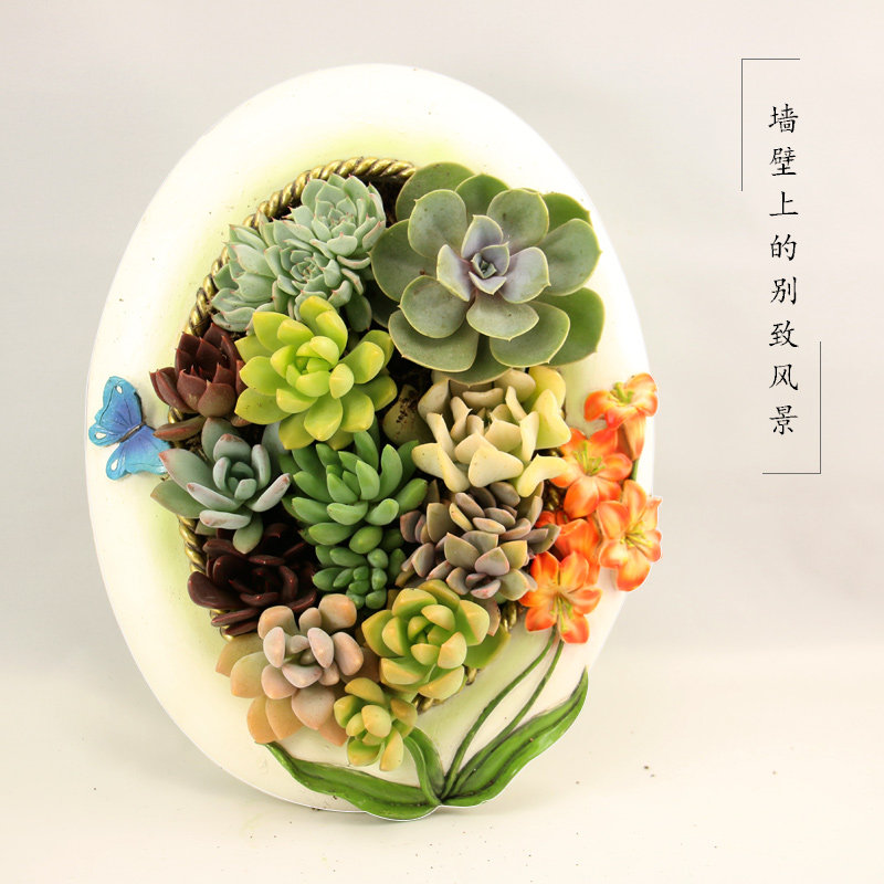 微景观多肉植物田园创意墙壁挂装饰画diy组合画框相框盆栽花盆