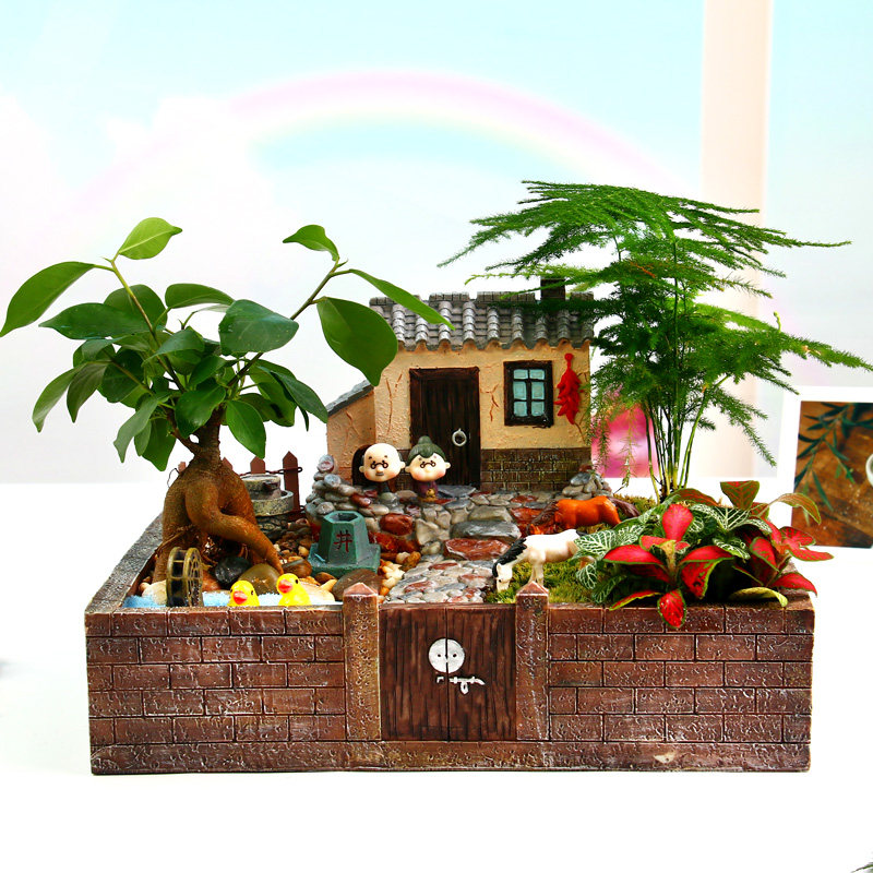 创意农家庭院房子龙猫多肉苔藓微景观植物办公室家居绿植大号花盆