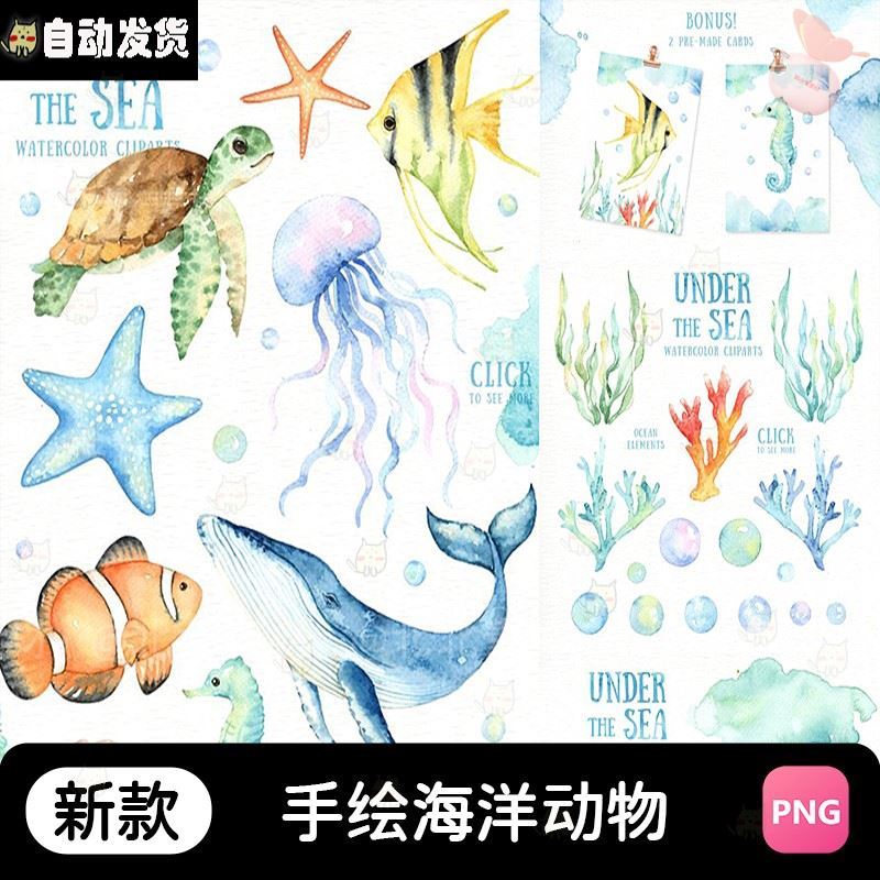唯美卡通手绘水彩海洋动物植物海龟鲸鱼海星PNG免抠图PS素材