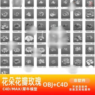 C4D 玫瑰 犀牛建模rhino maya模型obj 3Dmax 花瓣 花朵 鲜花