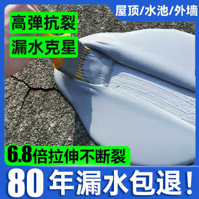 防水材料屋顶补漏涂料房顶楼顶裂缝漏水专用外墙屋面堵漏王防漏胶