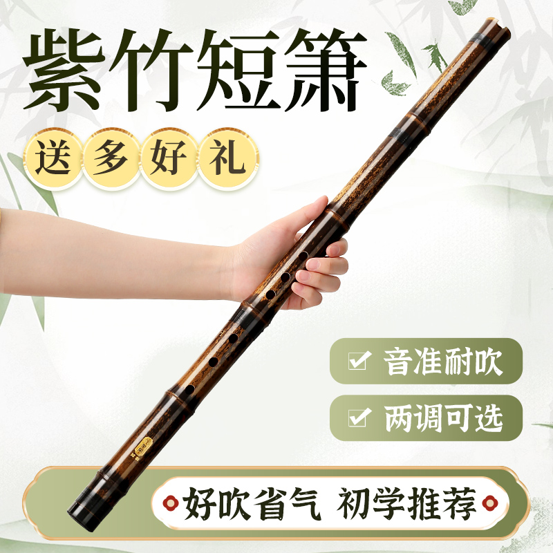 紫竹短萧初学者入门洞箫专业短竹箫便携八孔G调F高级玉短潇笛乐器