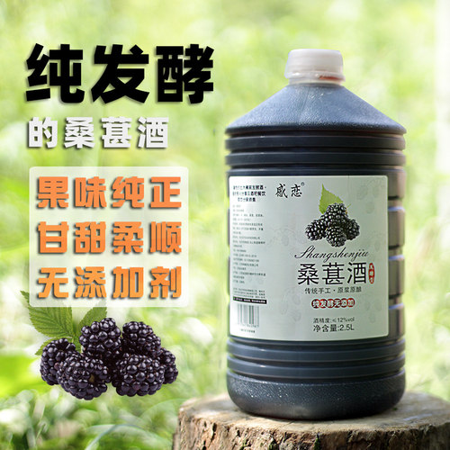 酒曲发酵桑葚酒入口柔顺果香