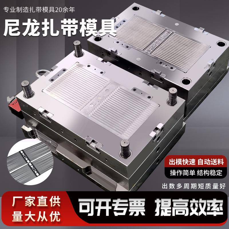 乐清博锐扎带模具专业制造高精密汽车扎带模具各种尼龙扎带模具